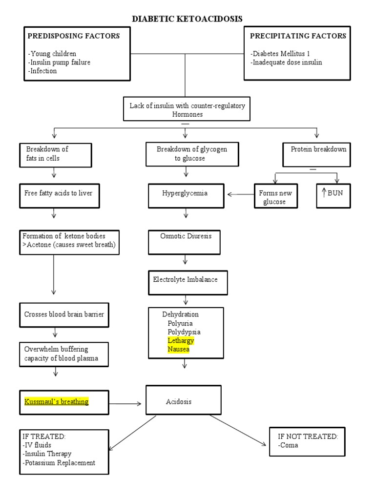 Diabetic Ketoacidosis: Precipitating Factors | PDF | Wellness