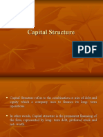 Capital Structure 1