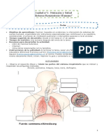 Guía Sistema Respiratorio 03 Al 17-08