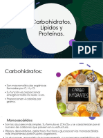 Carbohidratos, lípidos y proteínas