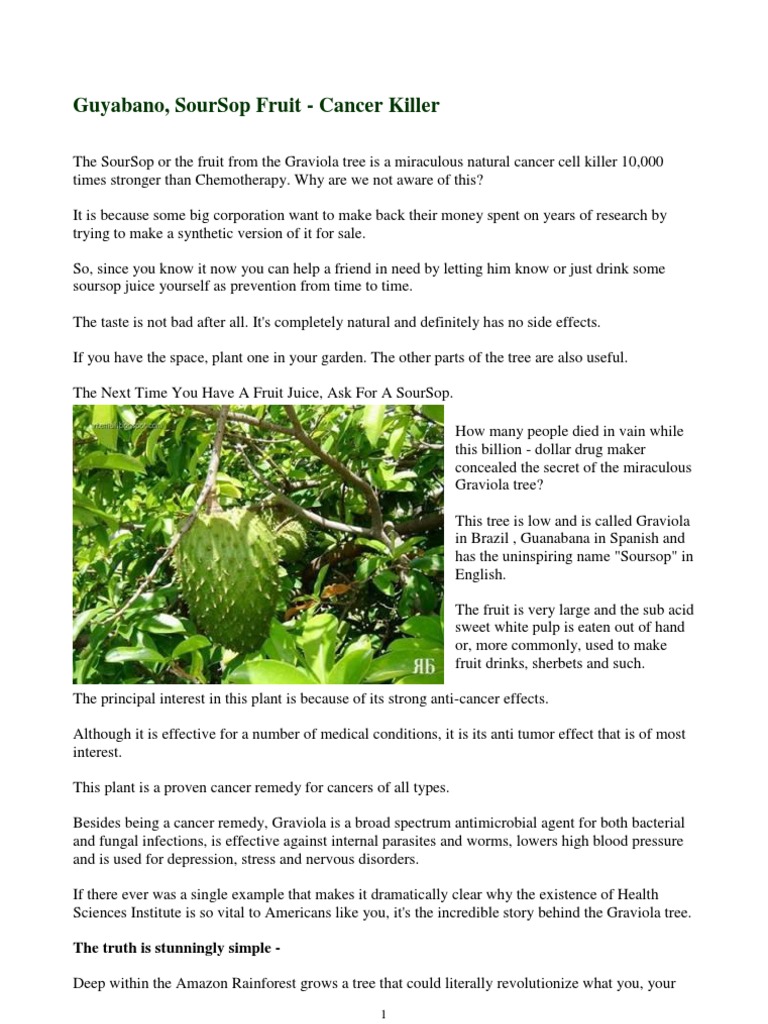 Graviola Soursop Fruit Cancer Killer Pdf Cancer Chemotherapy