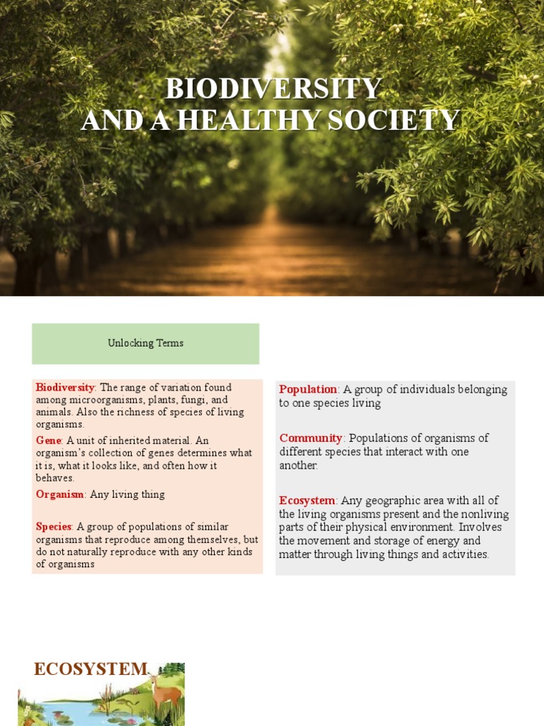 Importance of Biodiversity Explained | PDF | Biodiversity ...