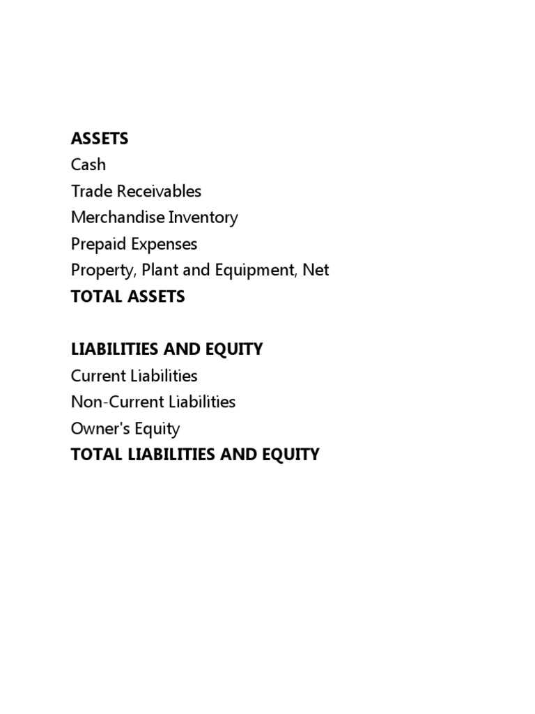 Financial Overview: Assets & Liabilities | PDF | Fixed Asset | Expense