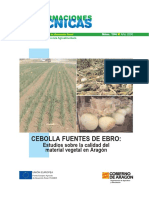 Cebolla Fuentes de Ebro. Estudios Sobre La Calidad Del Material Vegetal en Aragón