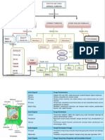 jaringan-tumbuhan (21 Sept,16)