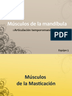 Músculos de La Mandíbula