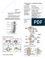 Cervical Spine Proto Gih