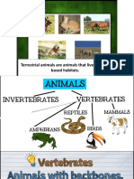 Terrestrial Animals Adaptations by Habitat