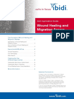 Wound Healing and Migration Assays: Ibidi Application Guide