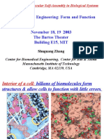 Avogadro-Scale Engineering: Form and Function: Avogadro-Scale Molecular Self-Assembly in Biological Systems