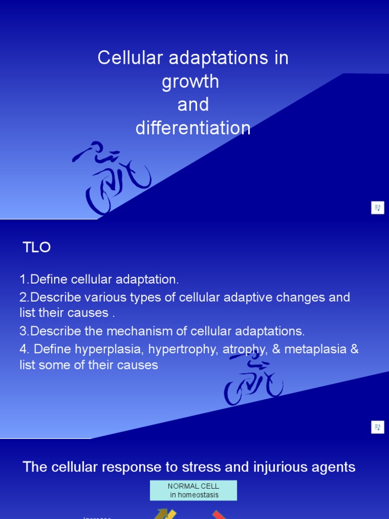 3 Cellular Adaptation and Differentiation | PDF | Regeneration (Biology ...