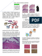 Identificação Dos Tecidos