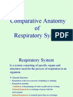 Comparative Anatomy of Respiratory Systems
