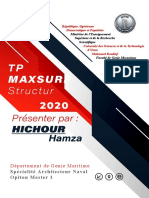 TP MAXSURF Structure