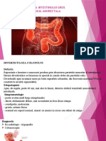 Curs 3 - Patologia Intestinului Gros.patologia Anorectală