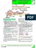 04-F-06-07-Glomerulo Renal