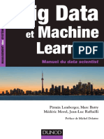 Big Data Et Machine Learning