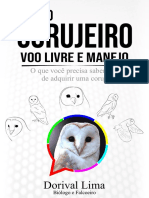 Guia - Grátis - Do - Corujeiro - 2020 Com Link