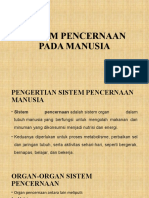 Sistem Pencernaan Pada Manusia