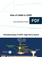 2019 LAMA For COPD