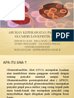 Glomerulonefritis Akut (Gna)