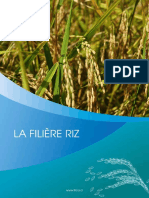 filiere-riz-et-technologies-generees (1) (1) (1)