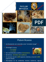 PH Bryozoa