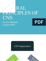 Understanding the General Principles of the CNS