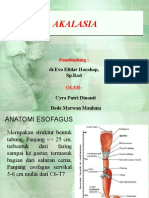 Akalasia Esafagus Diagnosa dan Penatalaksanaan