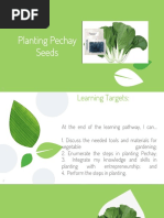 Planting Pechay Seeds