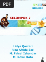 Download FILUM CHORDATA DAN VERTEBRATA by Yuksampaikan Yuksampaikan SN54720553 doc pdf