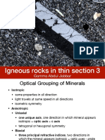 Igneous Mineral in Thin Section 3