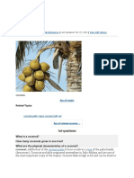 Coconut: Fruit Print Cite Share More