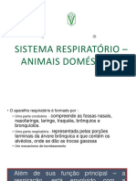 Sistema Respiratório - Animais domésticos
