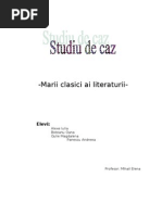 Studiu de Caz Romana