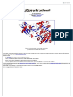 ¿Qué Es La Luciferasa