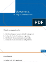 Lipogénesis: procesos y regulación