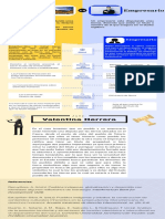 Infografia Caso Totoro