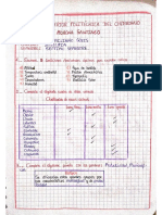 20 Preguntas Ovinos 30