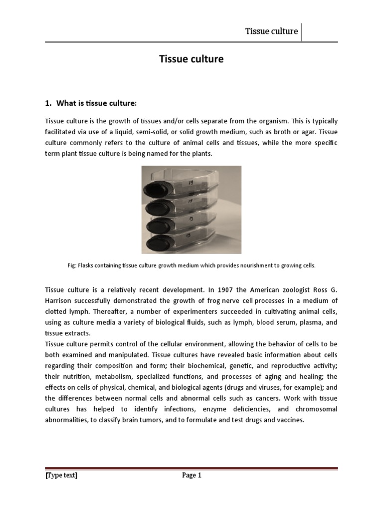 What Is Tissue Culture PDF Biology Anatomy