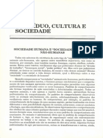 LIVRO Introducao - A - Sociologia - Sebastiao - Vila - N-39-62