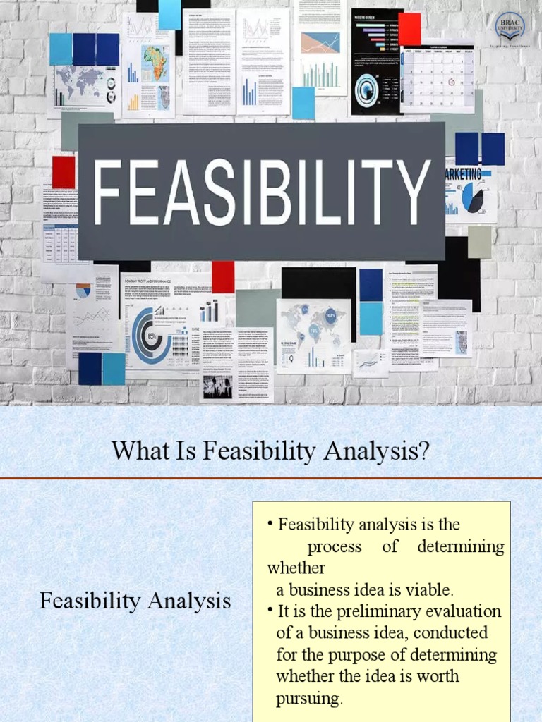 Feasibility Analysis | PDF | Feasibility Study | Profit (Economics)