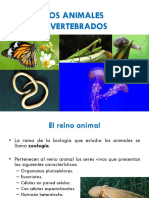 Invertebrados - Parte 1