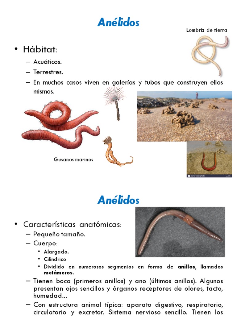 COMPOSTAJE EN ESPACIOS INTERIORES, image size:768x1024