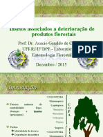 Insetos associados a deterioração florestal