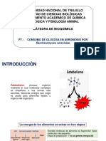 Practica Semana 7. Consumo de Glucosa en Aerobiosis