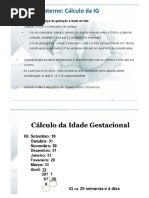 Cálculo da Idade Gestacional e DPP | PDF