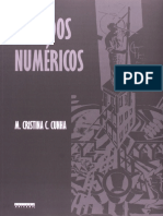 Resumo Metodos Numericos Maria Cristina C Cunha