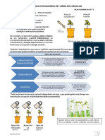 FI 2_Dominio_procedimental (1)