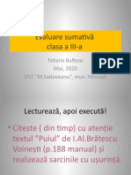 Evaluare Sumativă Clasa A III